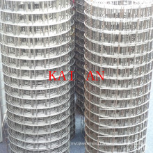 19X19mm galvanized welded wire mesh